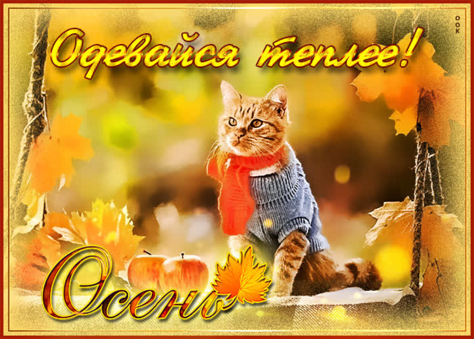 A postcard on the subject of scarf dress warmer in the fall cat for free