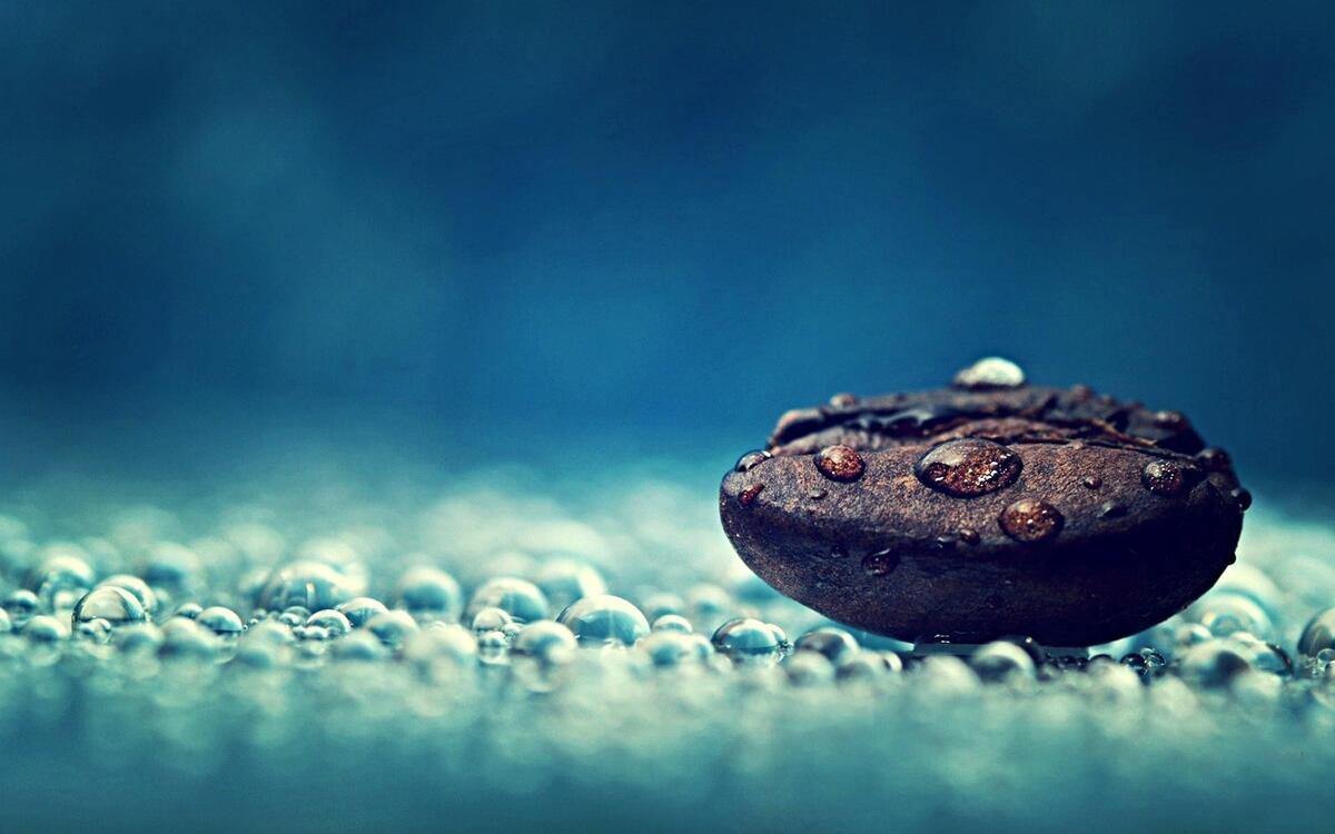 A coffee bean with drops of water