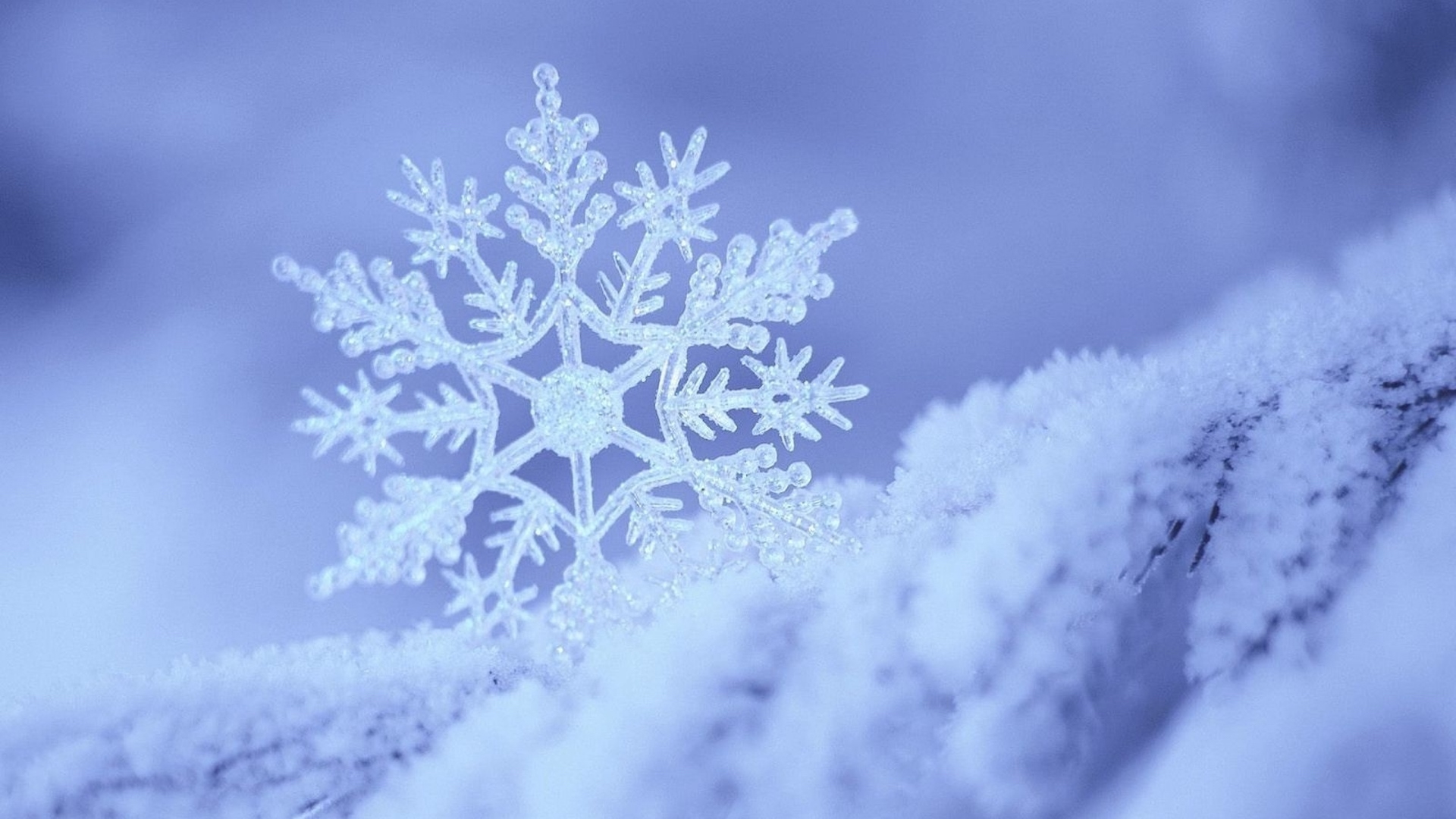 Wallpapers snowflakes winter nature on the desktop