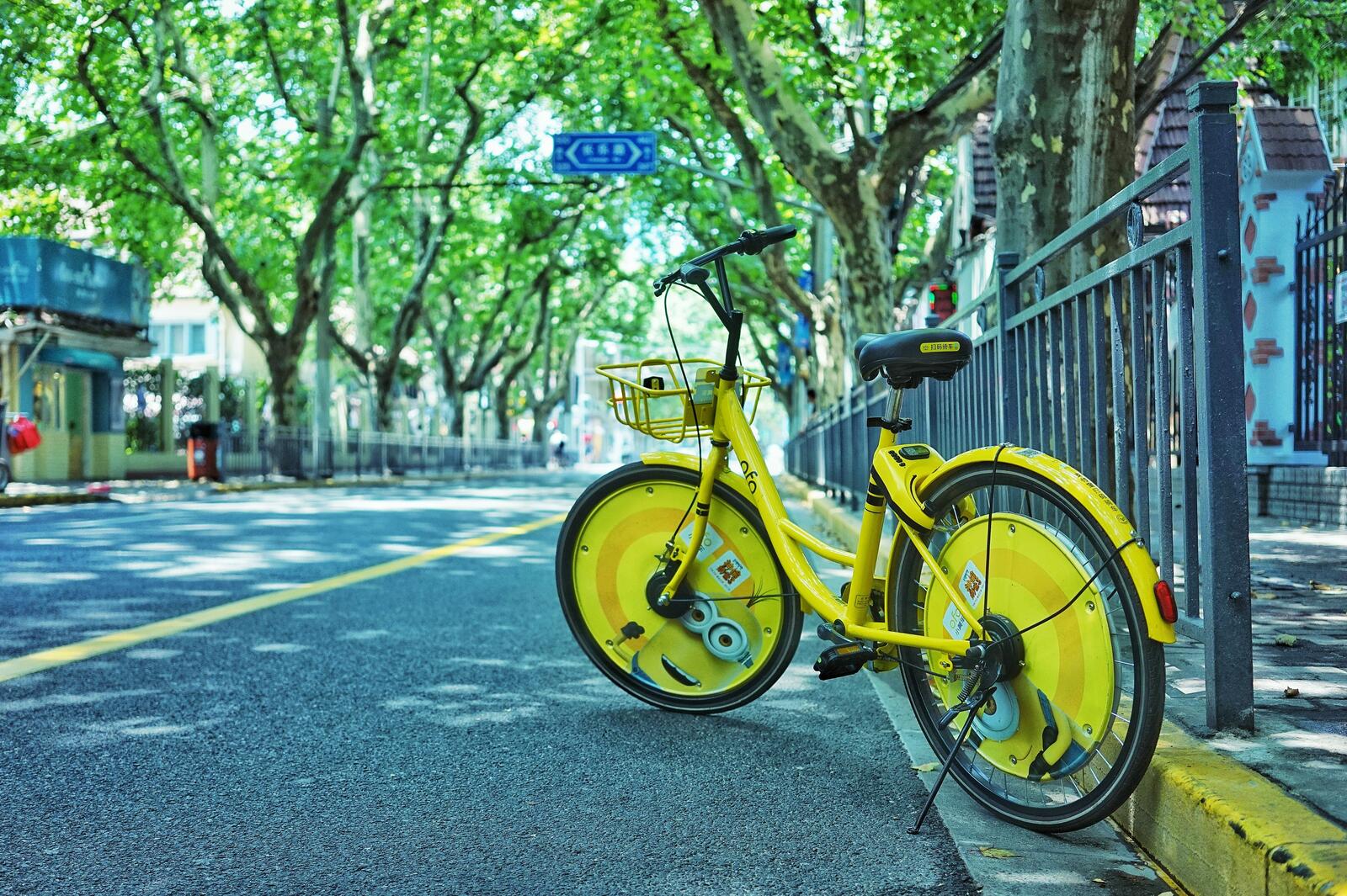 Wallpapers street trees yellow bicycle on the desktop