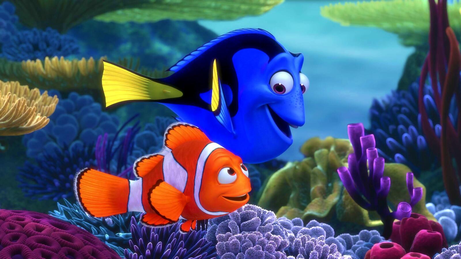 Wallpapers finding Nemo movie animated film on the desktop