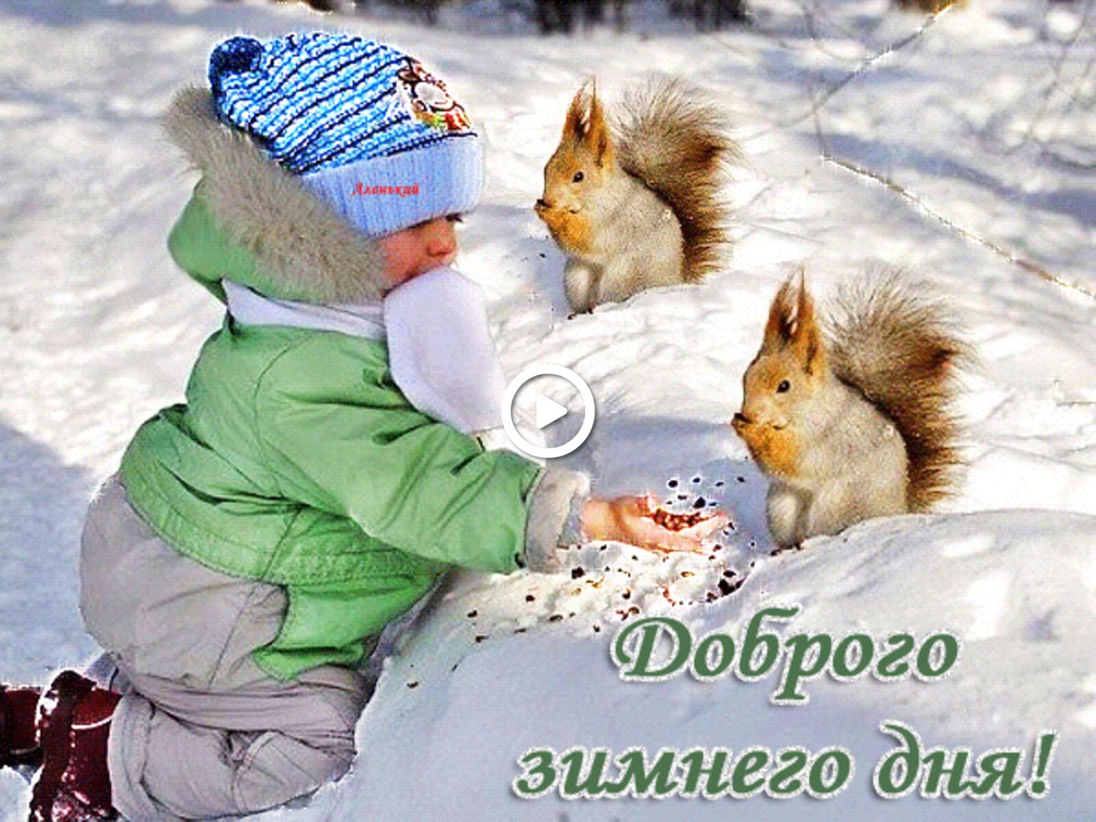A postcard on the subject of squirrels have a nice winter day good wintry day cards for free