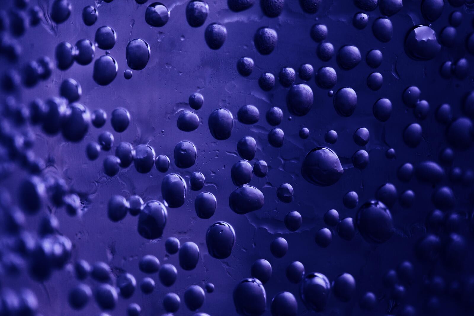 Фиолетовые пузырики