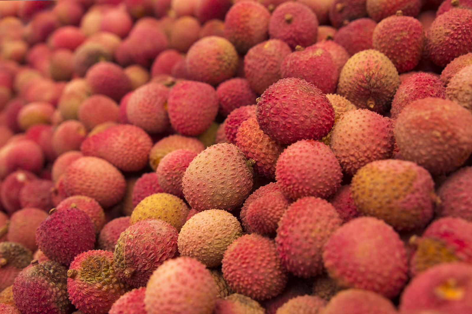 Wallpapers flower lychee product on the desktop