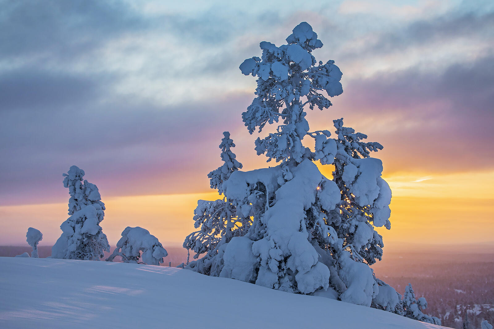 Обои закат деревья Финляндия на рабочий стол