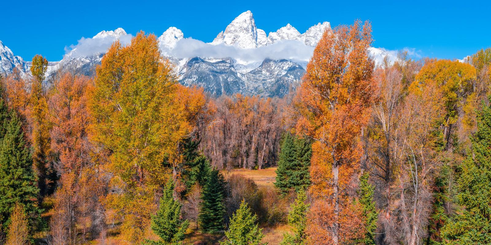 Wallpapers trees autumn mountains clouds on the desktop