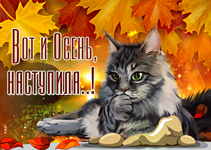 Postcard free so autumn has come, maple leaves, cat