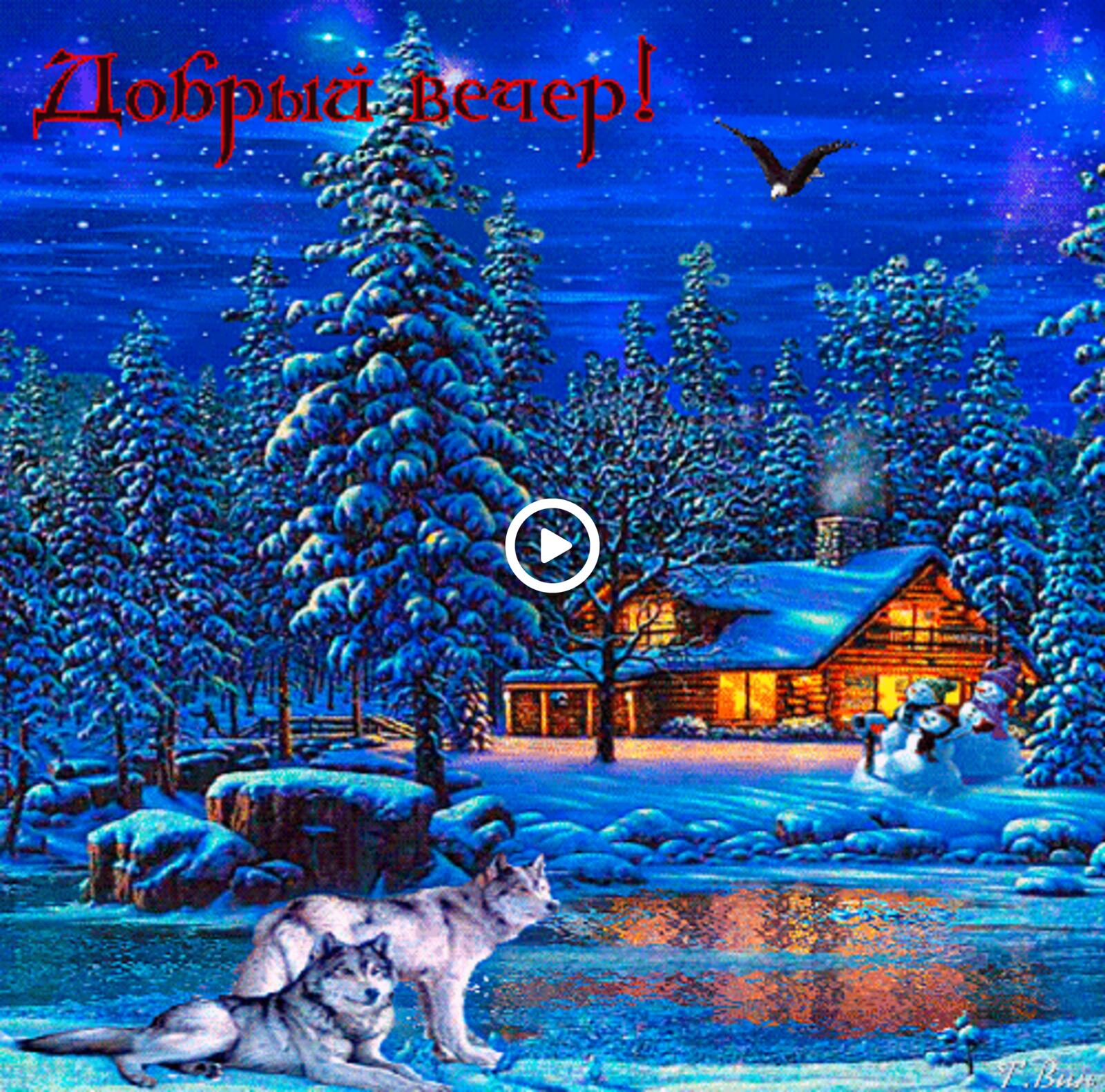 A postcard on the subject of winter evening wolves good winter night gifs for free