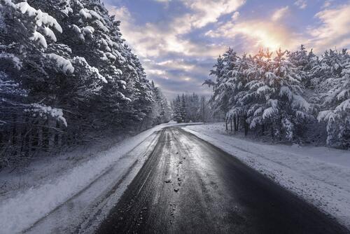 Деревья в снегу и утренняя поездка