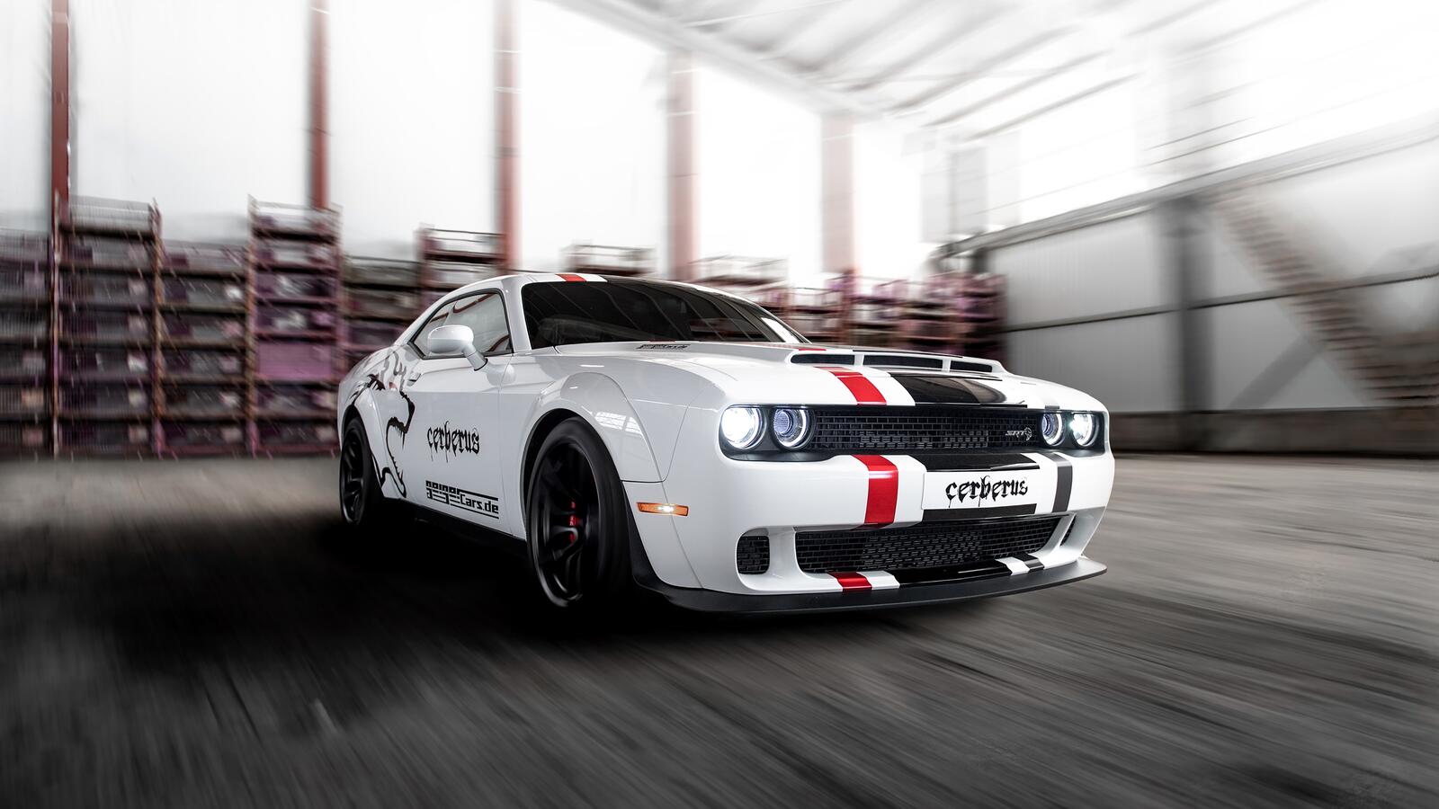 Wallpapers white muscle cars dodge challenger hellcat cerberus on the desktop