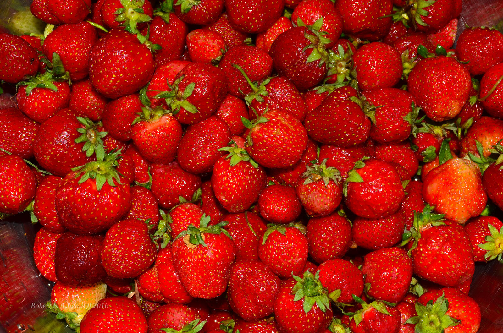 桌面上的壁纸红莓 熟草莓 食物