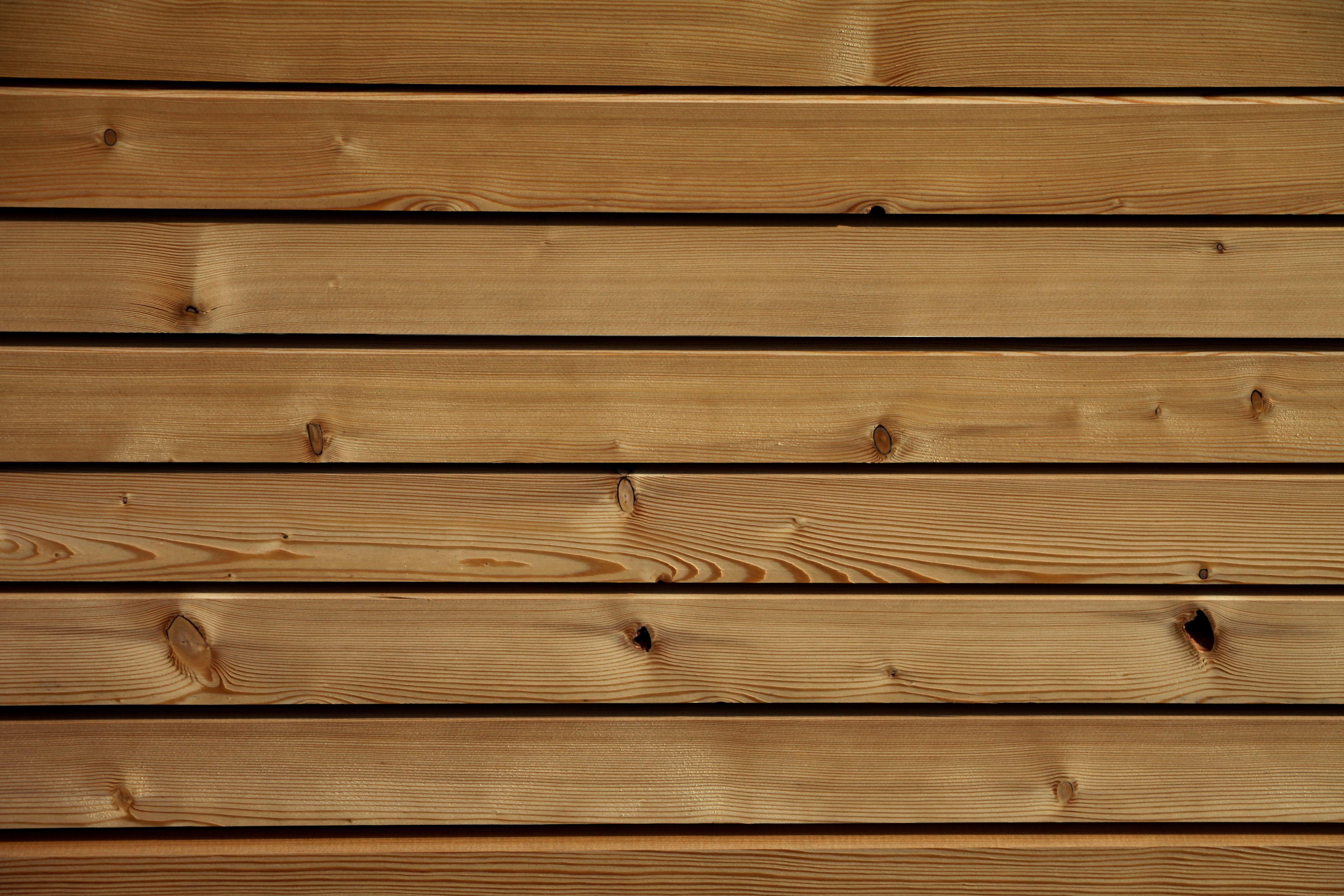 桌面上的壁纸结构 木材 木结