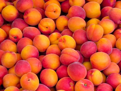 A big pile of peaches
