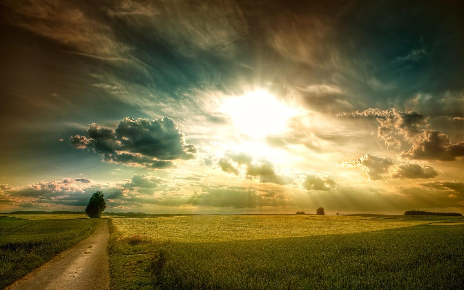 Бесплатное фото Яркий солнечный свет на зеленом поле
