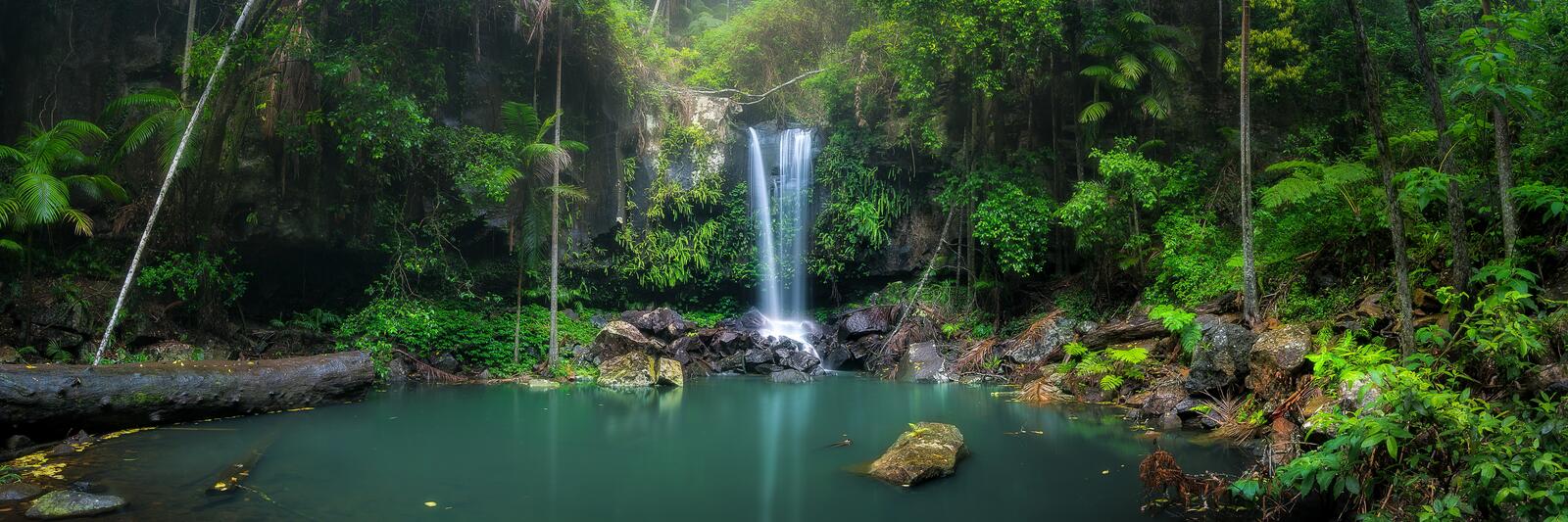 Wallpapers tropical forest waterfall landscape on the desktop