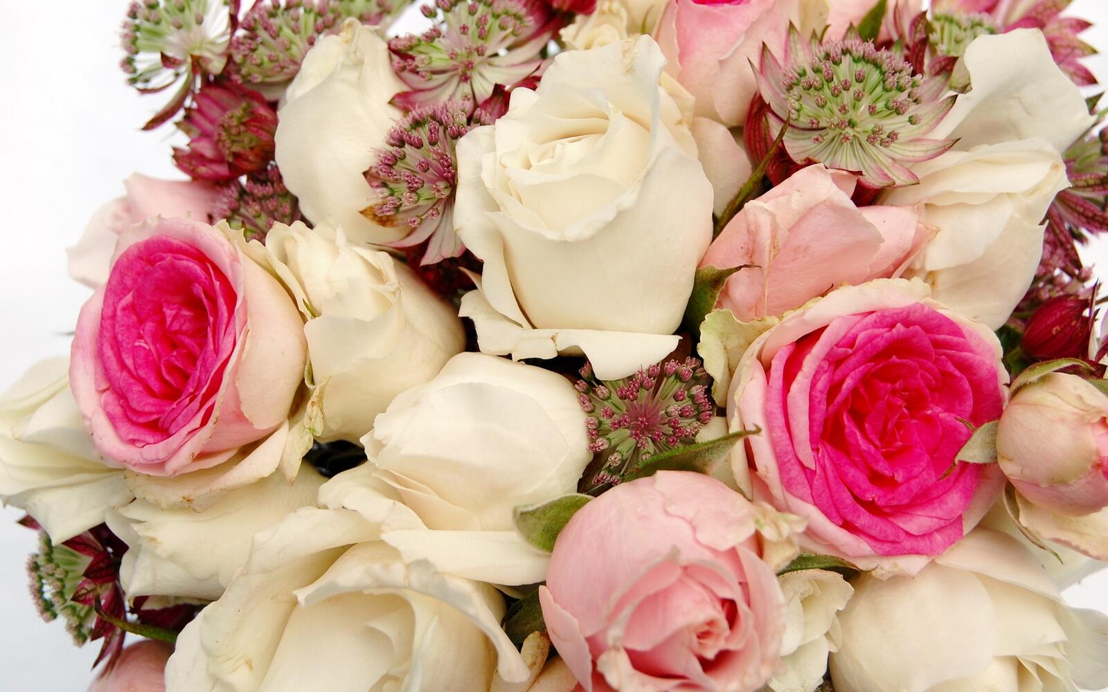 Бесплатное фото Букет белых роз