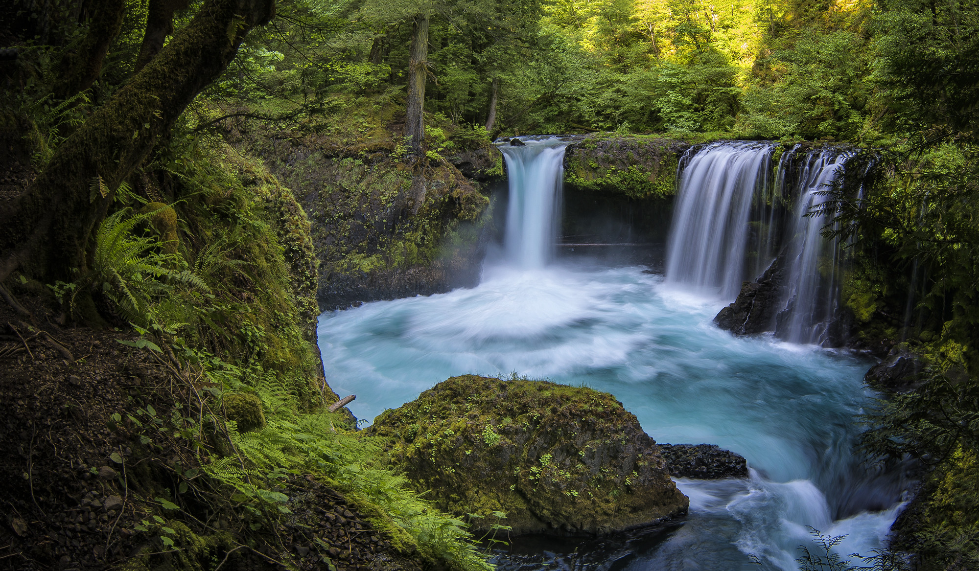 Wallpapers Columbia River Gorge Spirit Falls forest on the desktop