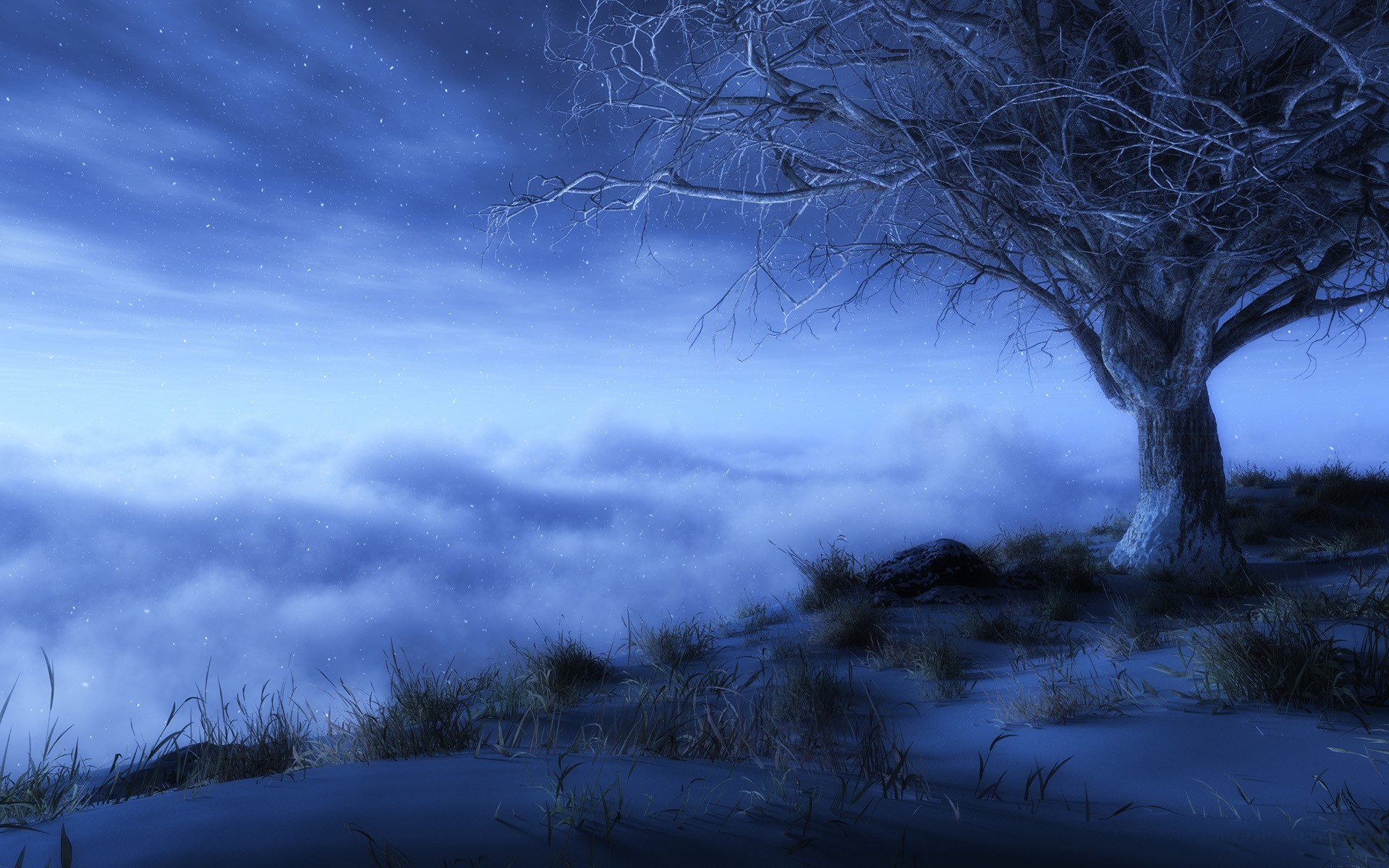 Wallpapers fog frost weather on the desktop