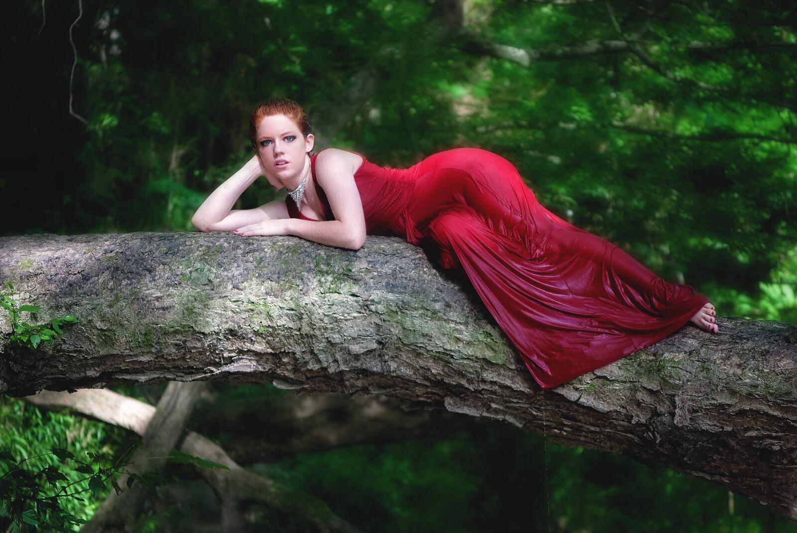 Free photo A red-haired girl in a red dress lying on a tree trunk