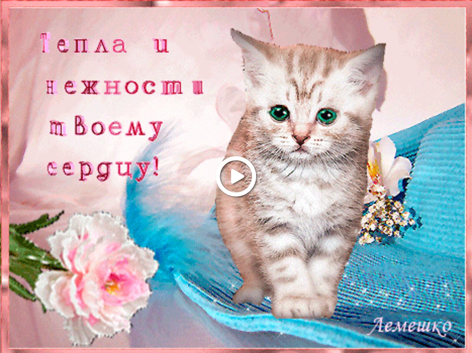 Открытка на тему открытки удачного дня цветы котенок бесплатно