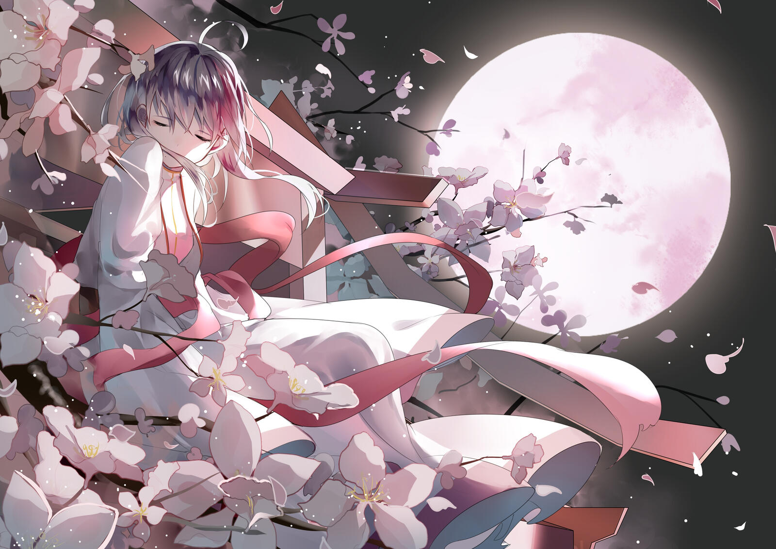 Wallpapers vocaloid chinese outfit sakura blossom on the desktop