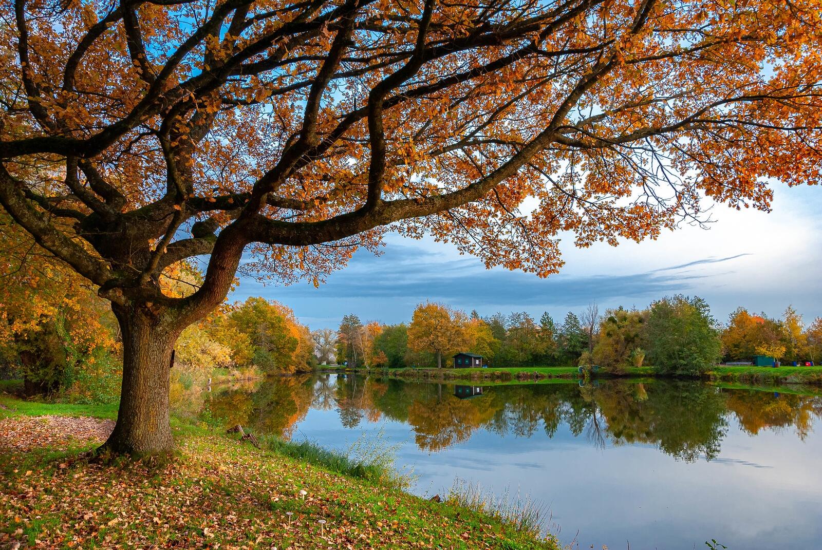 Обои озеро осенние листья цвета осени на рабочий стол
