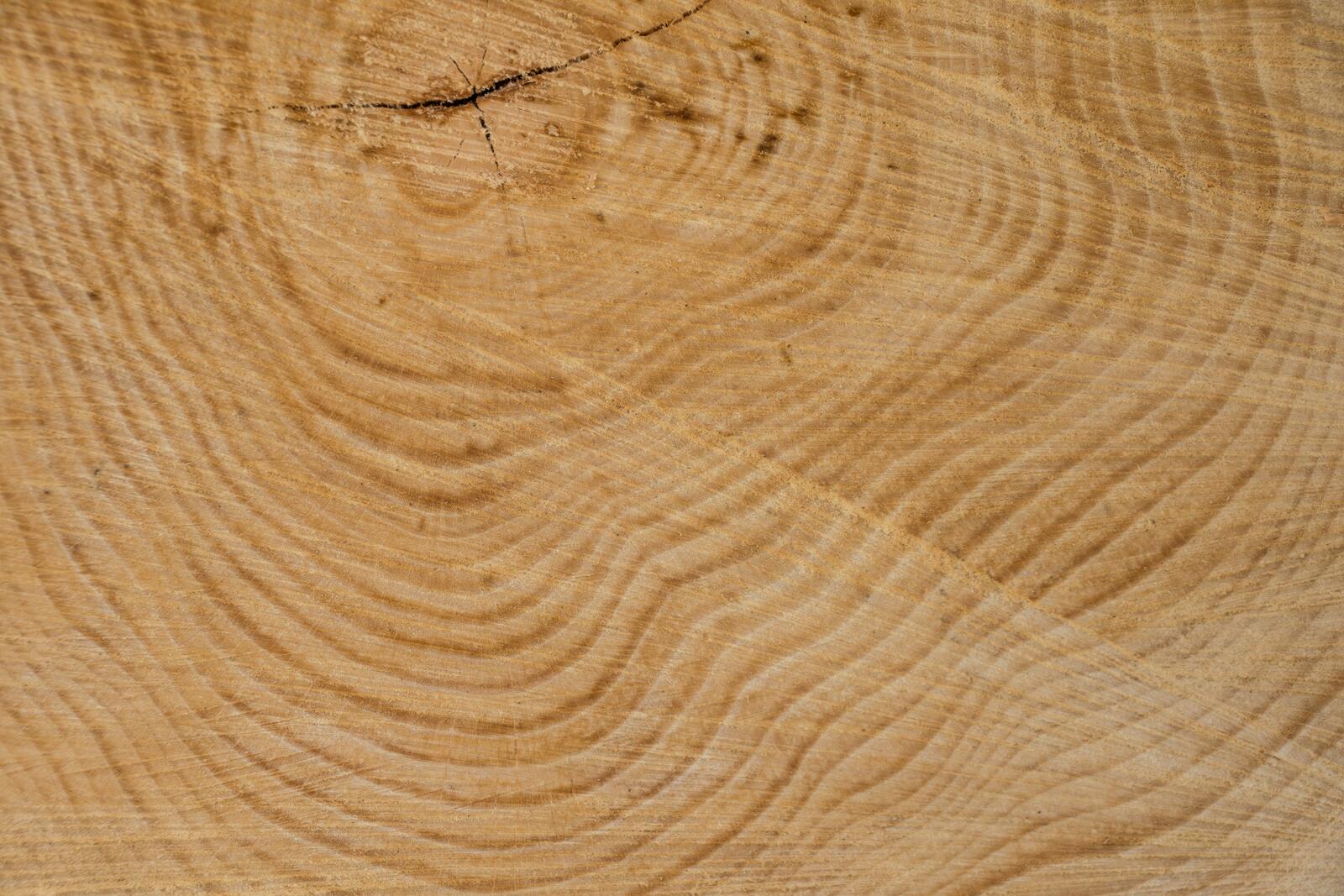 桌面上的壁纸木材 自然 结构