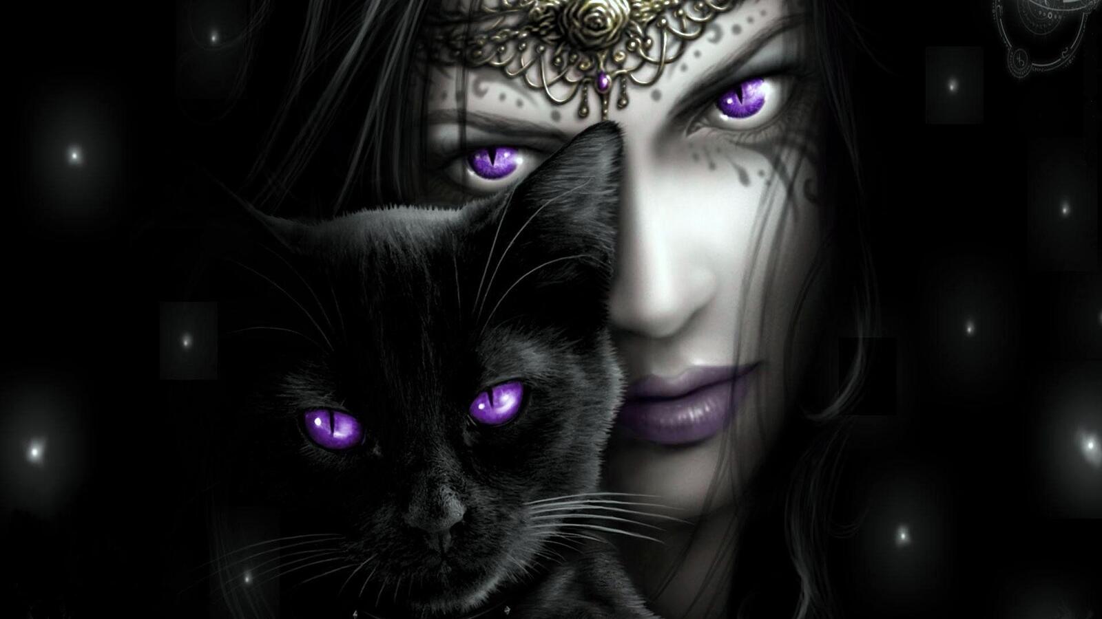 免费照片一个女孩和一只紫色眼睛的猫在一起。