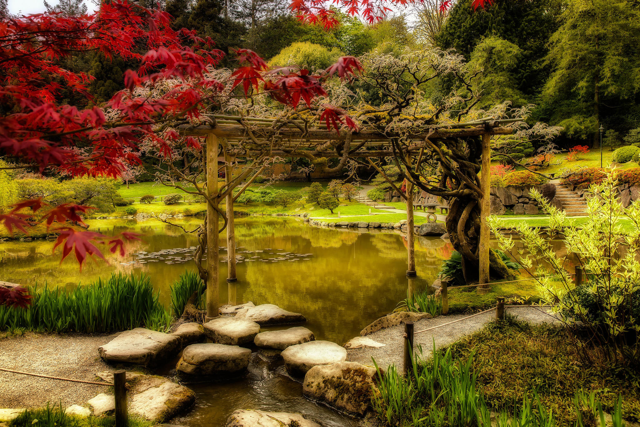 Обои японский сад парк пруд на рабочий стол