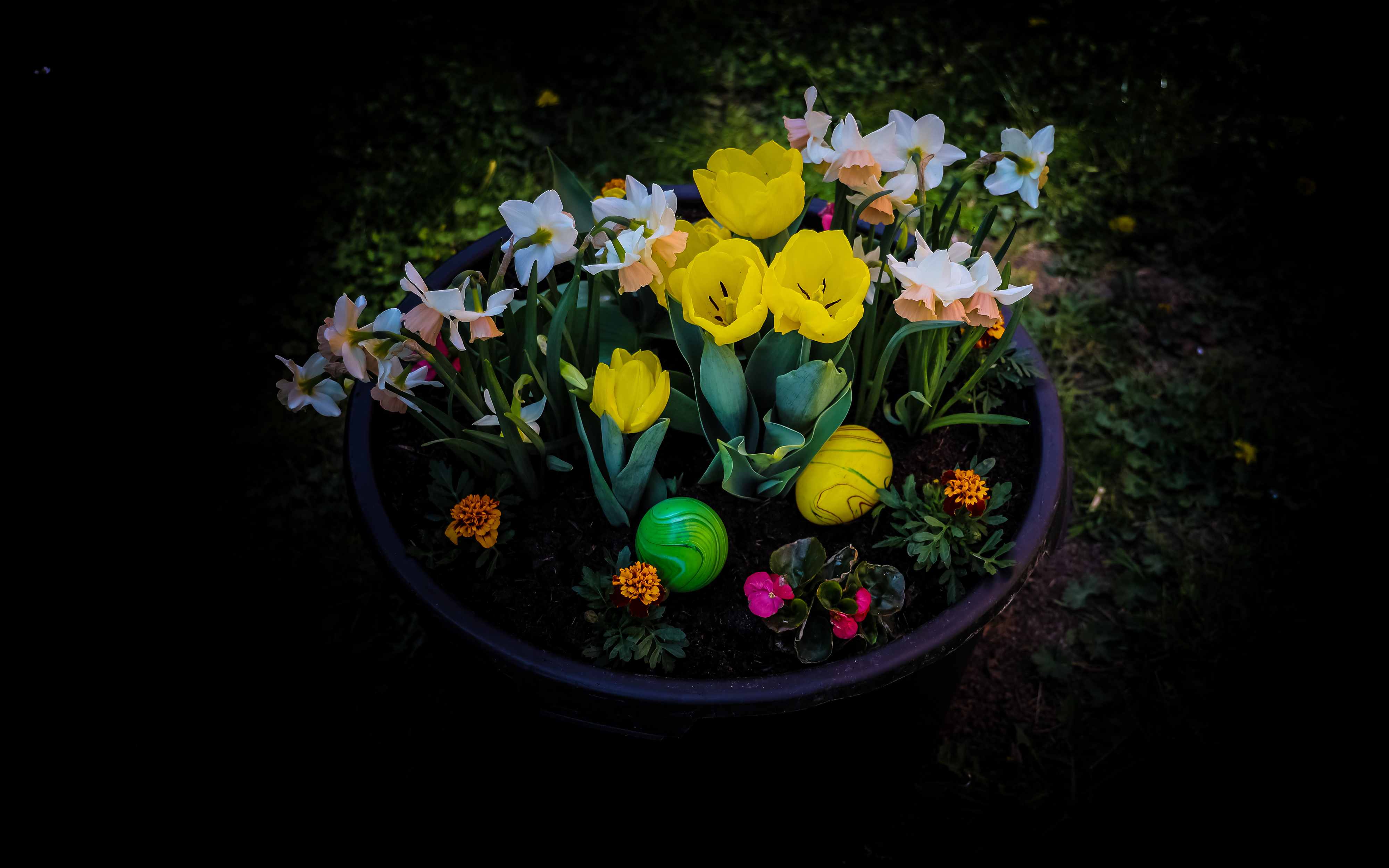Фото бесплатно цветок, пасха, яйцо
