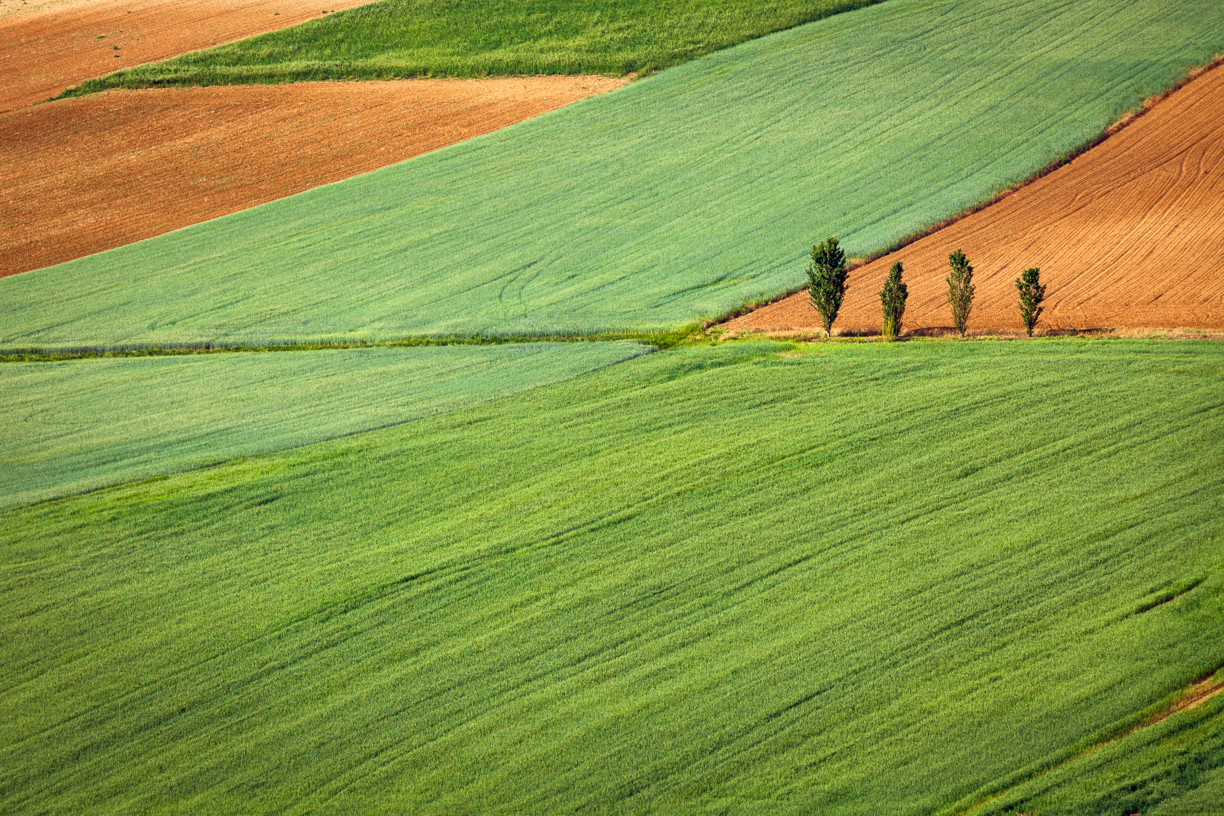 Wallpapers landscapes prairie meadow on the desktop