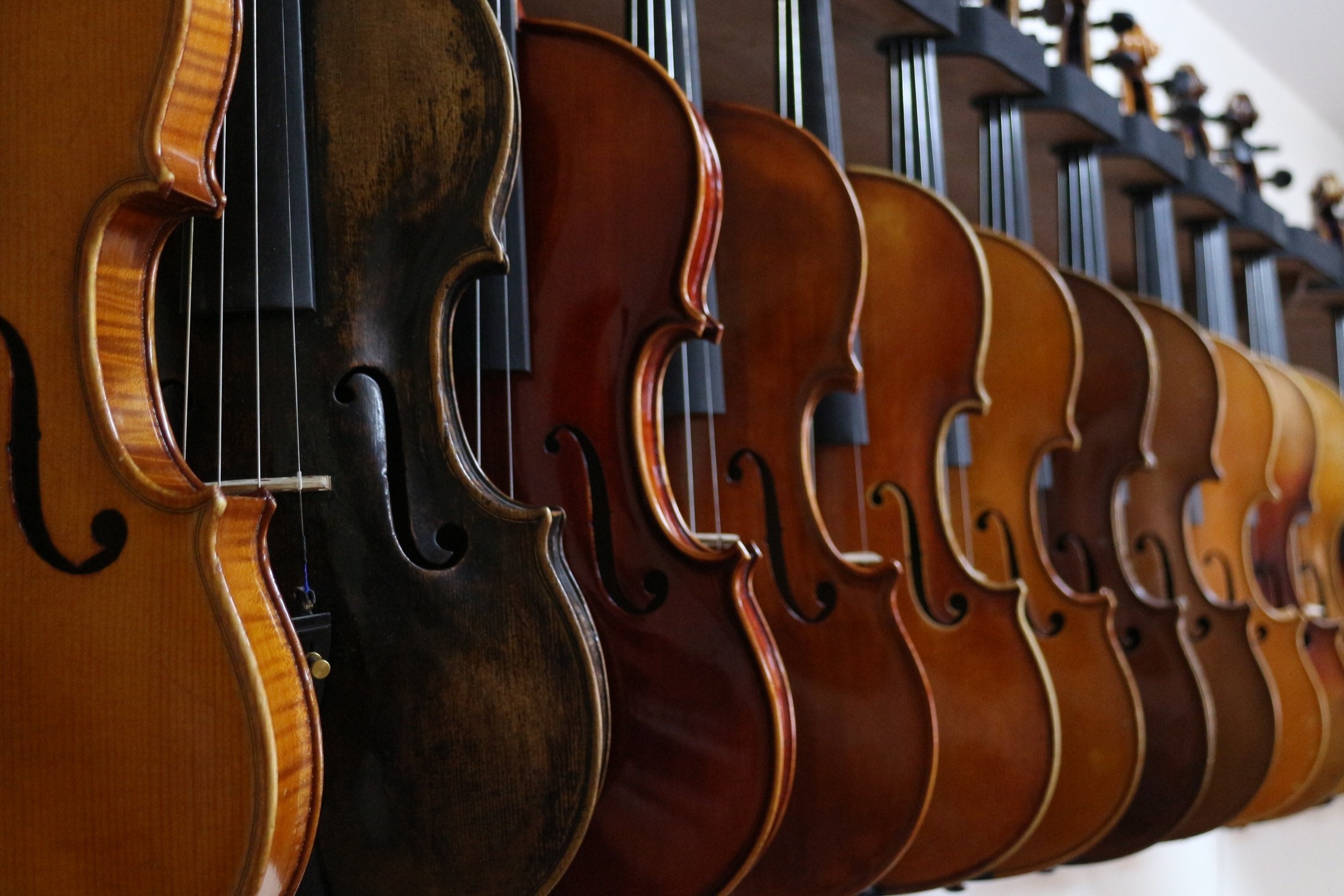 Wallpapers musical instrument plucked string instruments cello on the desktop
