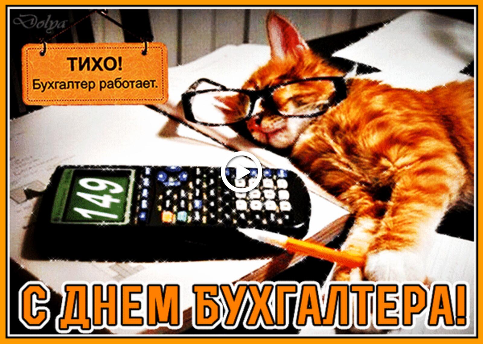 A postcard on the subject of happy accountant`s day congratulation cats for free