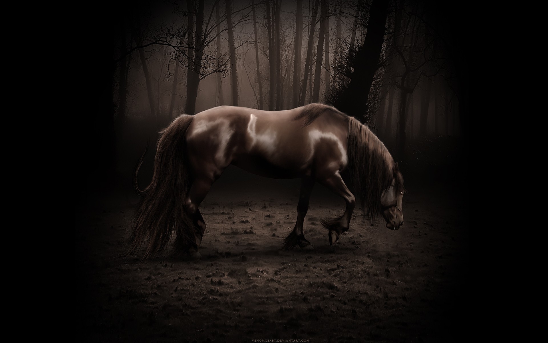 Фото бесплатно лошадь, тень, лес