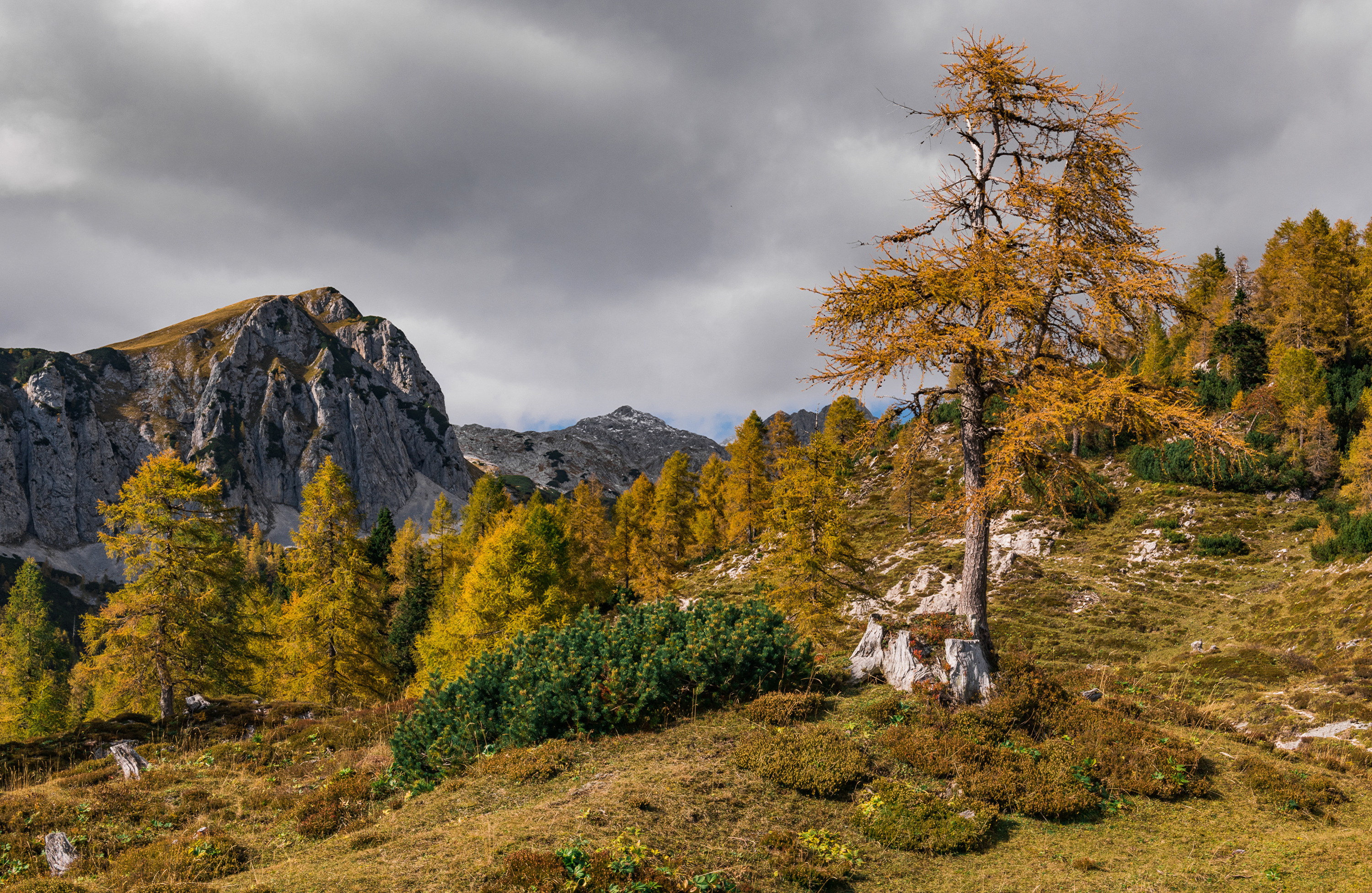 Обои природа Словения осень на рабочий стол
