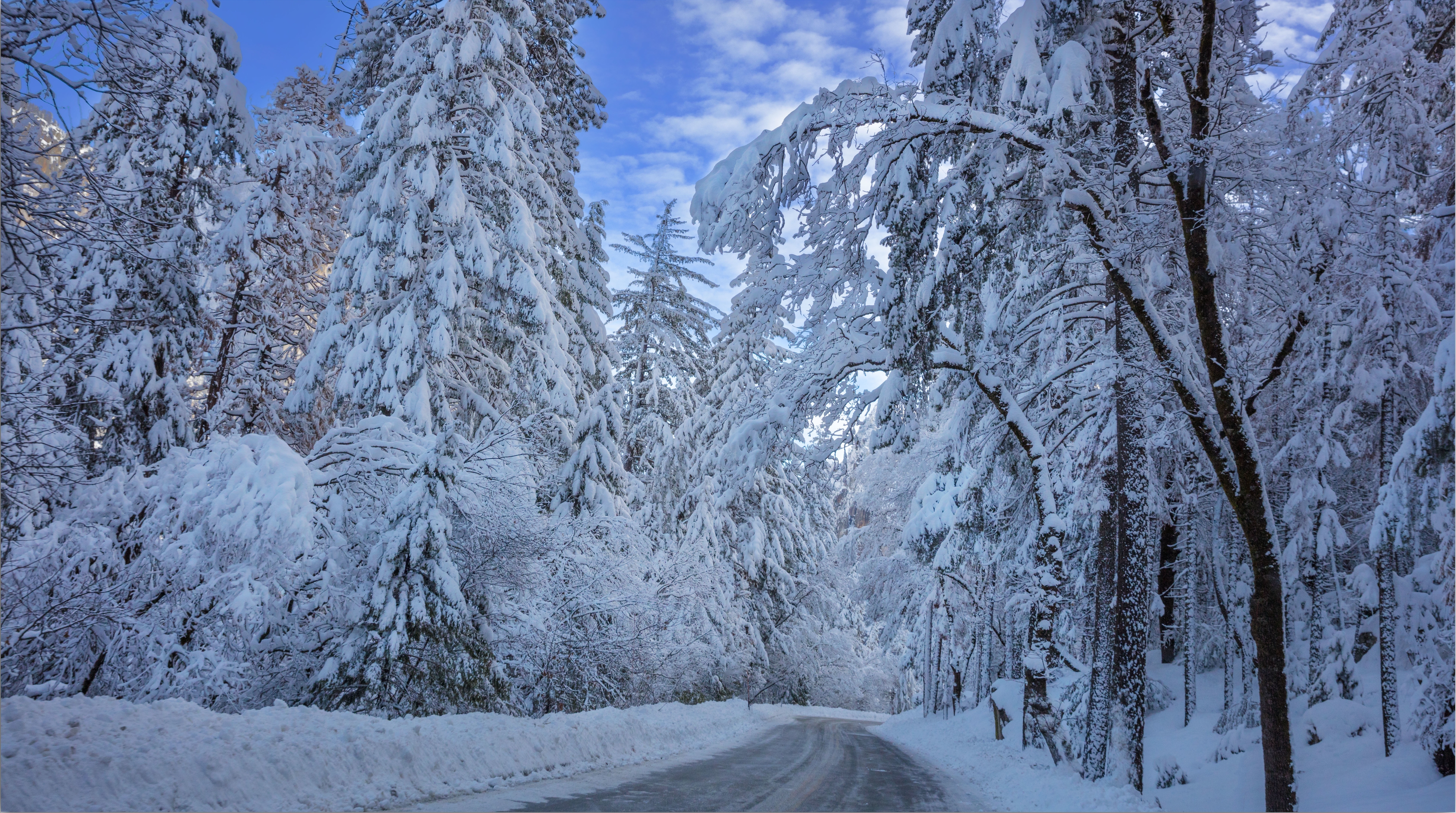 Бесплатное фото Сказочная зимняя дорога