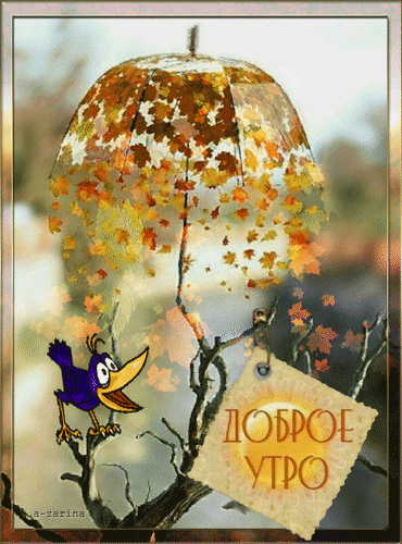 Postcard free autumn, good morning, animation