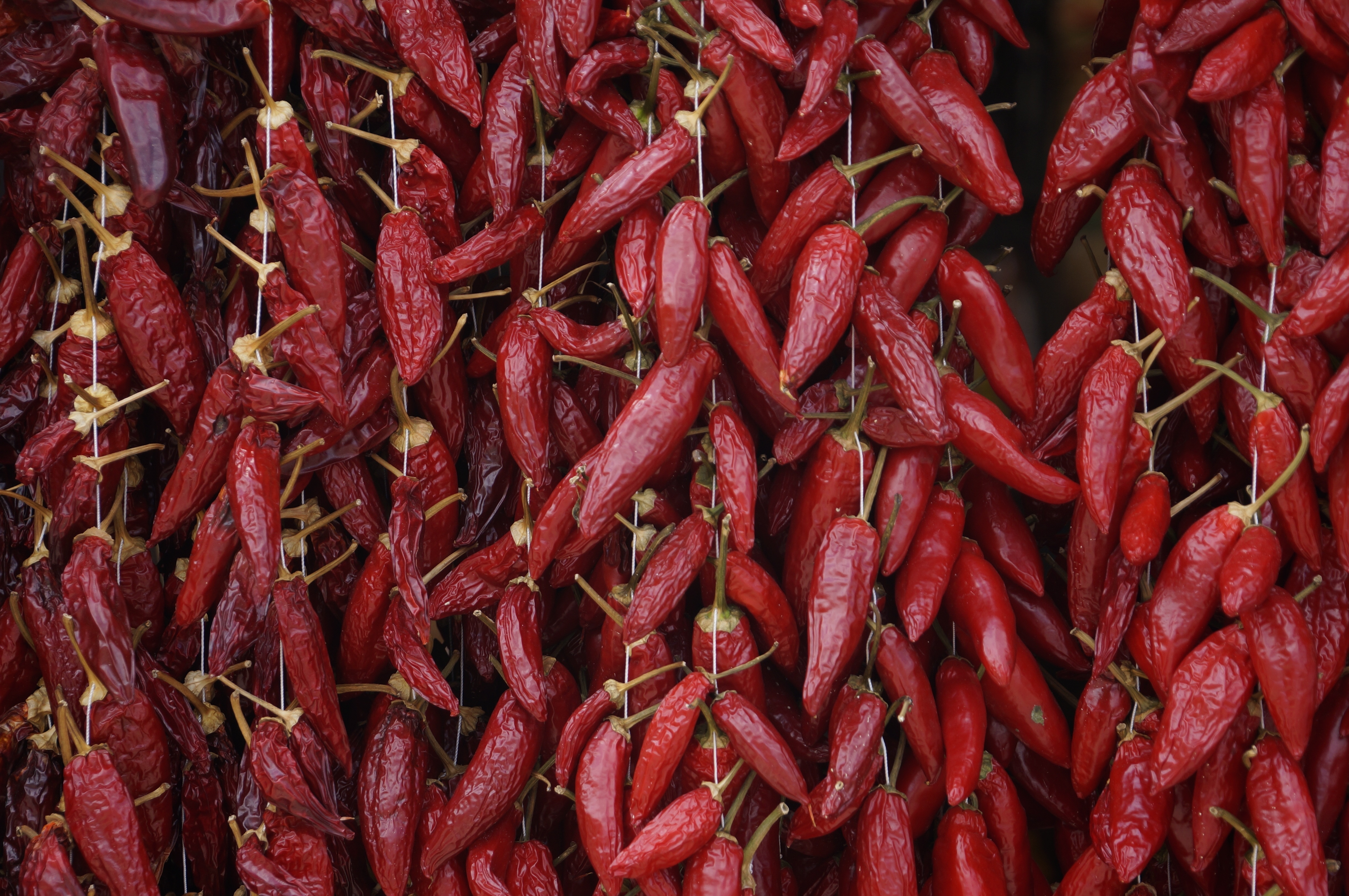 Wallpapers dried vegetables wallpaper red peppers on the desktop