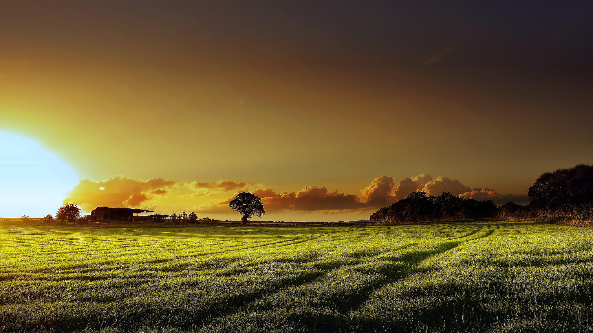 Photo free horizon, evening, green field