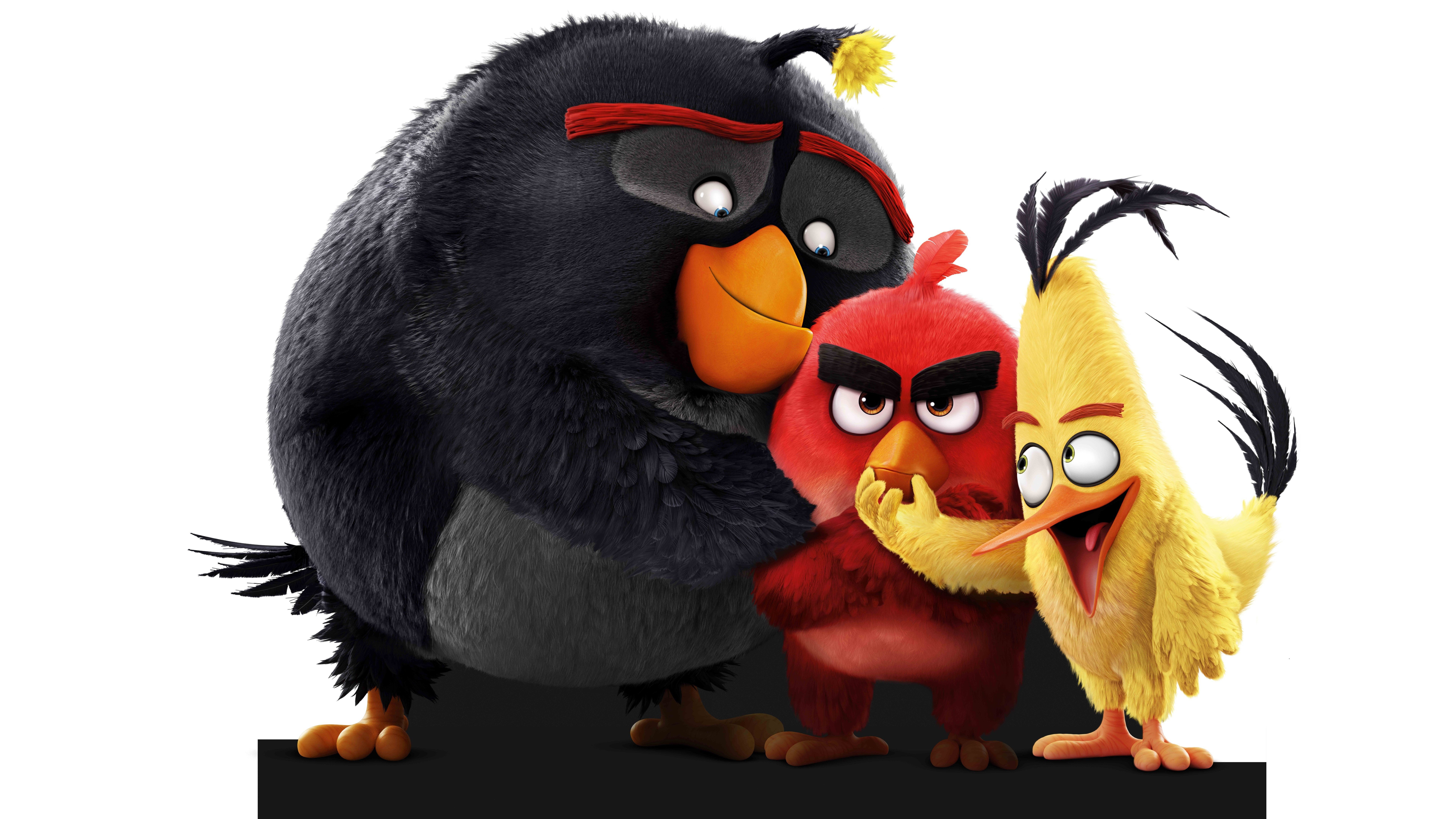 Wallpapers angry birds birds movies on the desktop