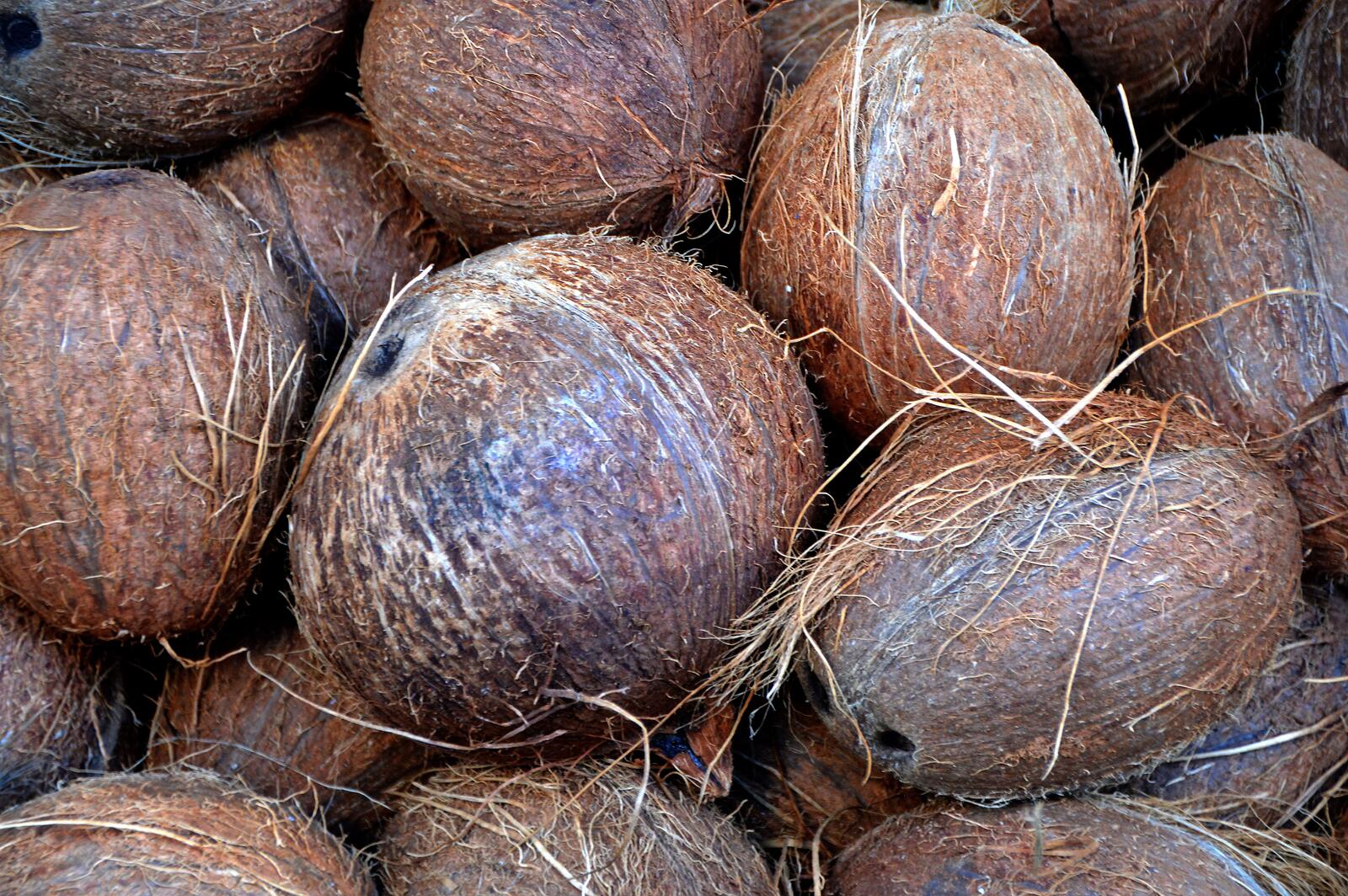 Wallpapers close wallpaper coconuts many on the desktop