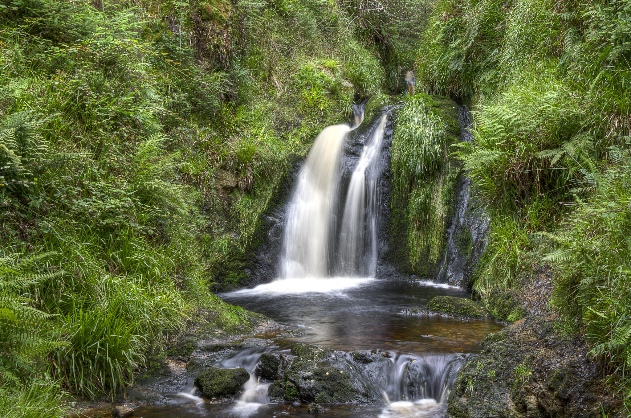 Фото бесплатно Гортин Форест Парк, Ко Тайрон Северная Ирландия, водопад