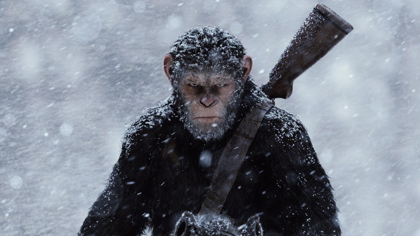 Wallpapers snow wallpaper war for the planet of the apes gorilla on the desktop