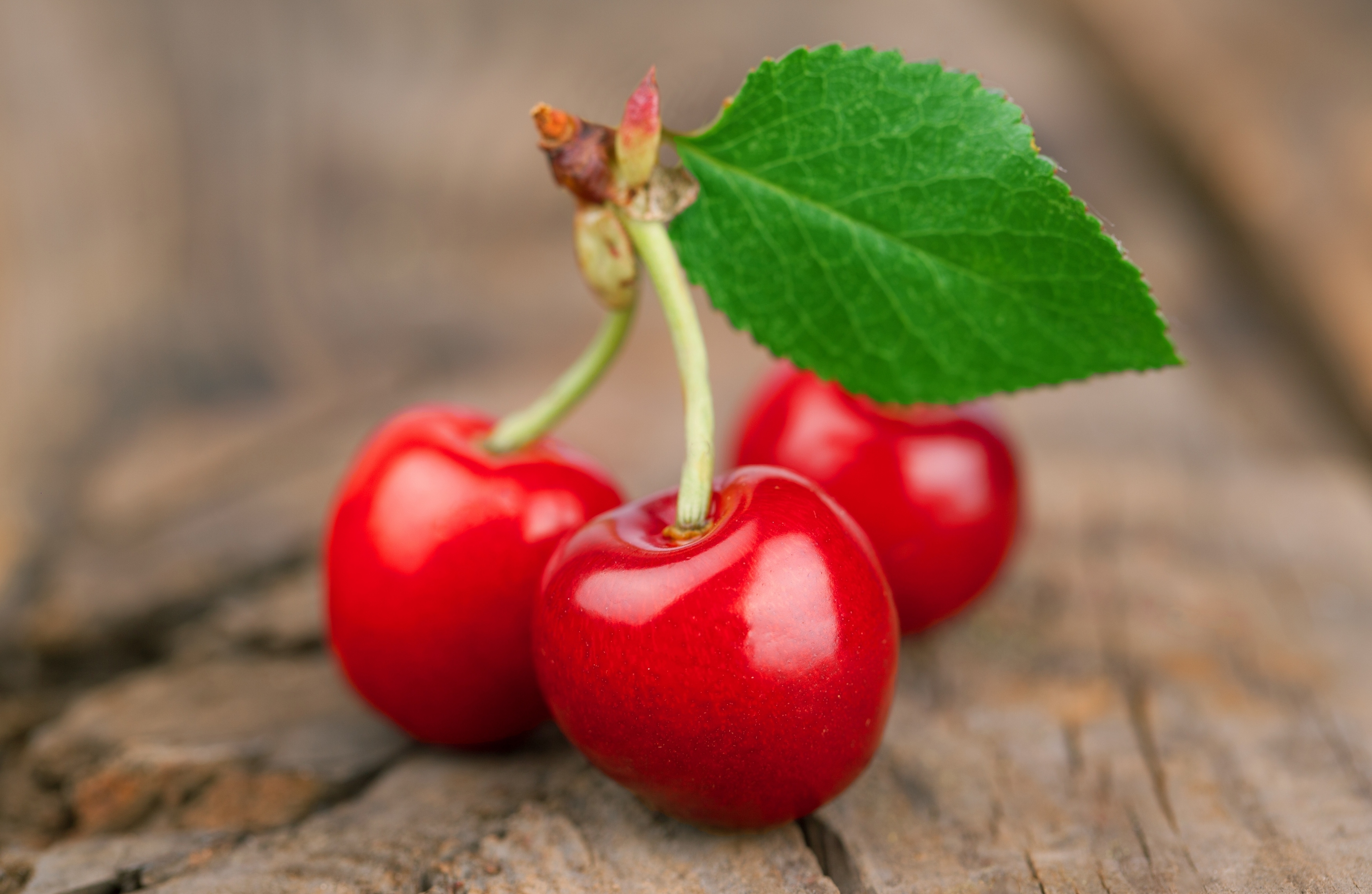 Wallpapers cherry fruits close on the desktop