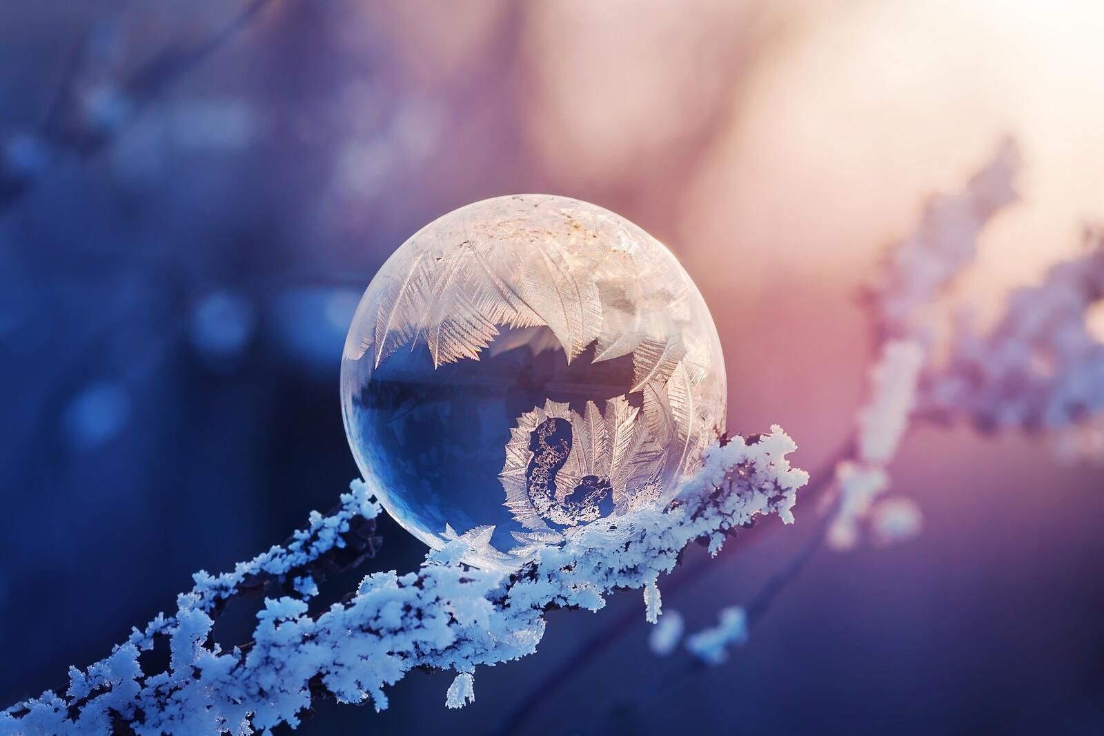 Обои замороженный пузырь зима фотографии на рабочий стол