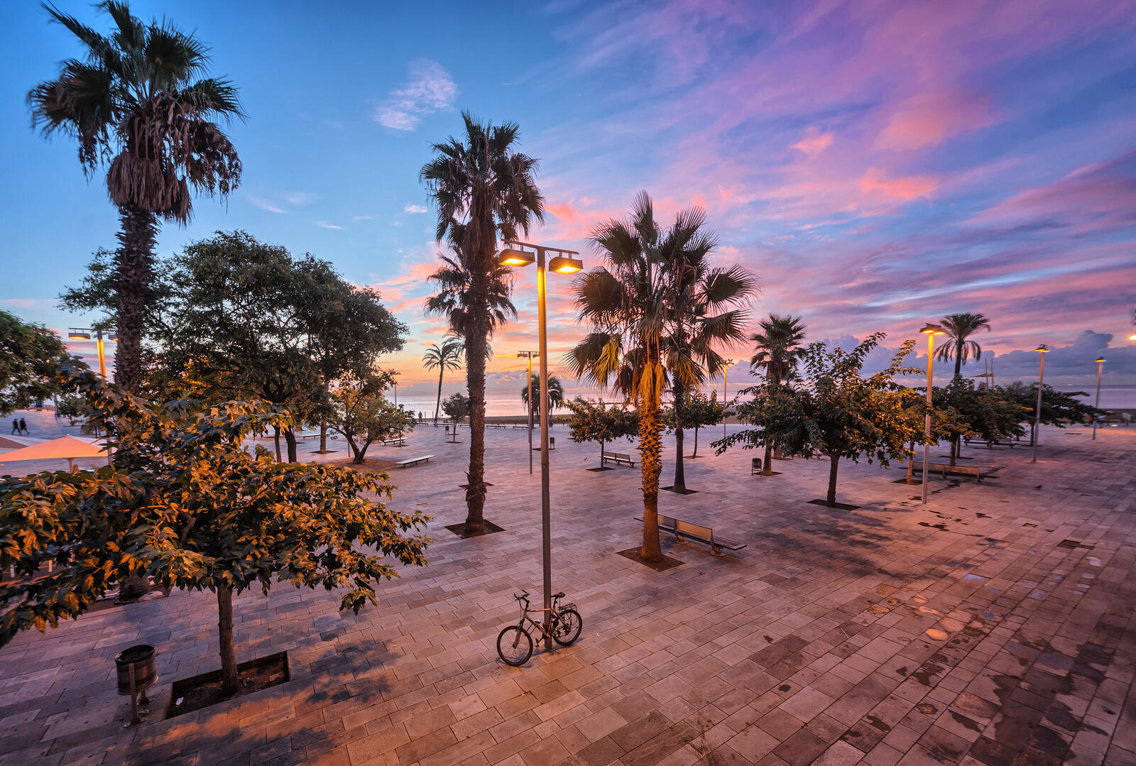 Wallpapers Barcelona beach palm trees on the desktop