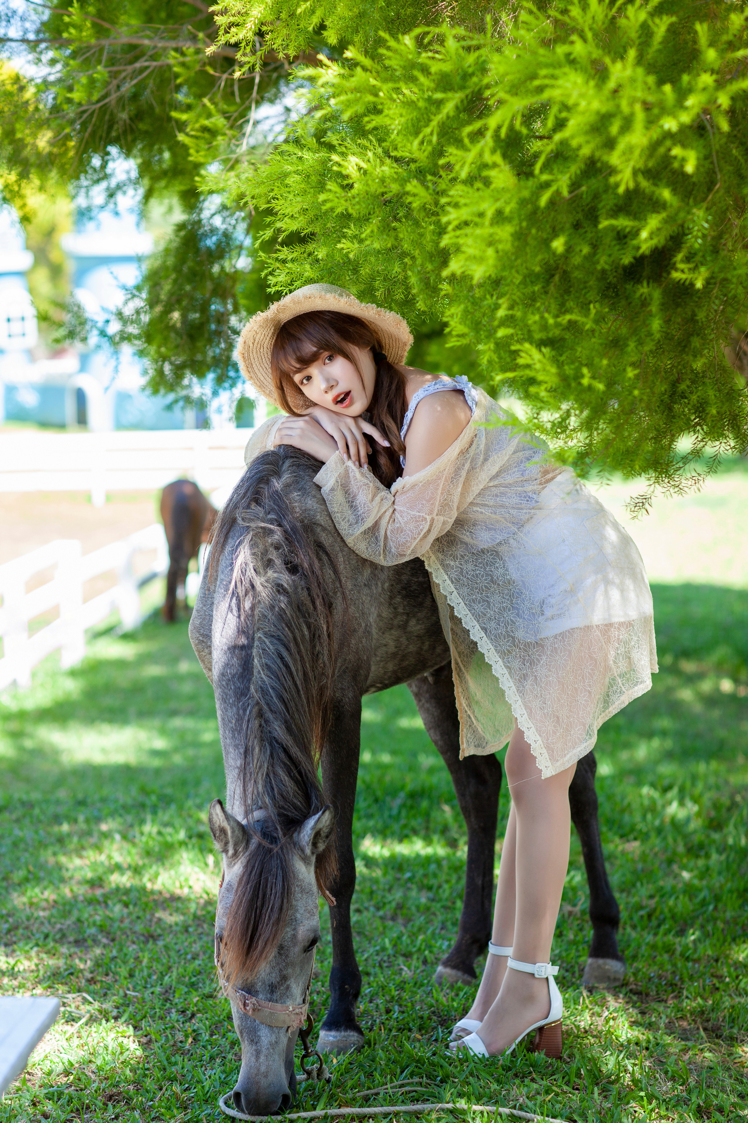 Фото бесплатно девушки, животное, лошадь