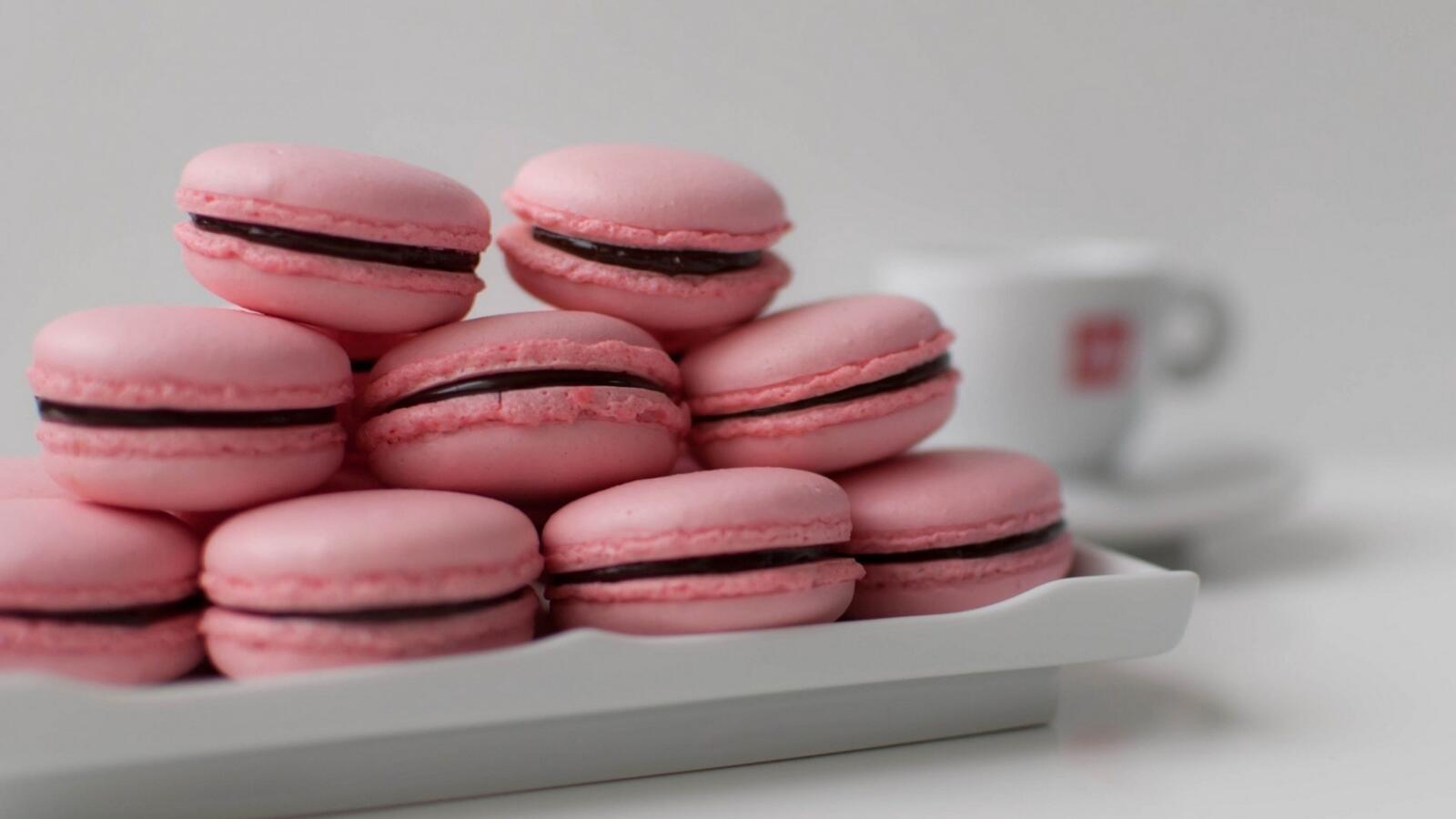 Wallpapers macaron pink biscuits on the desktop