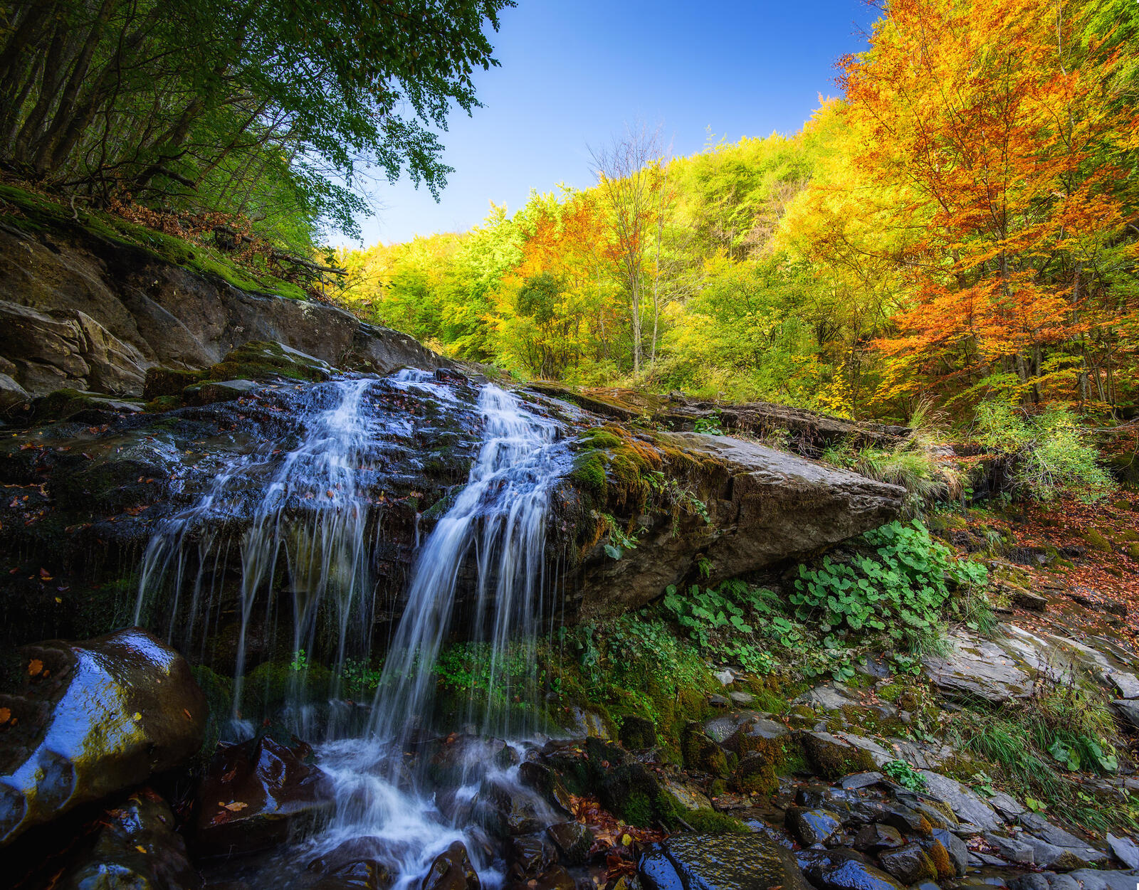 Wallpapers stones autumn forest waterfall on the desktop