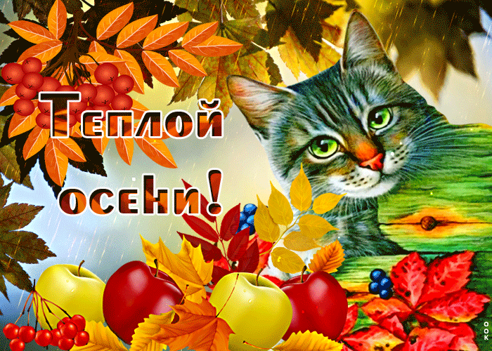 Postcard free my sweet autumn, cat, apples
